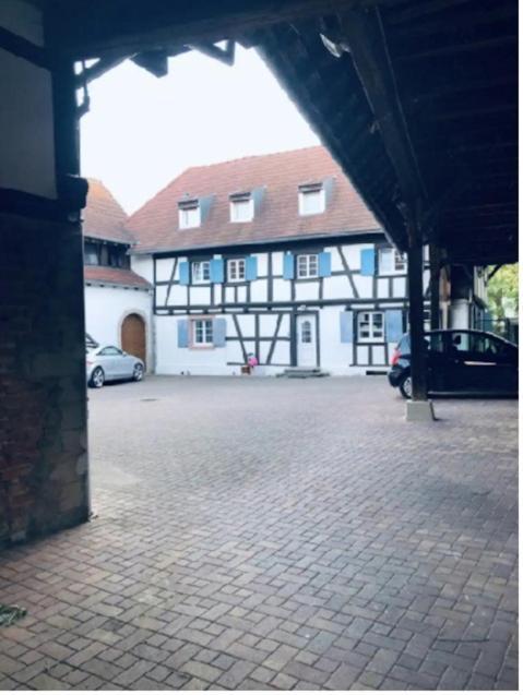Charmant Appartement Proche Strasbourg A Eckwersheim Exteriör bild